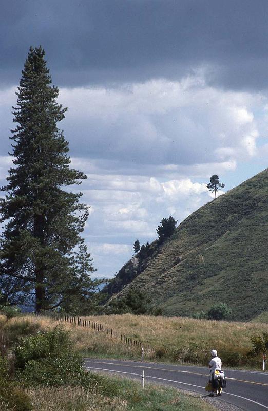 WT 0200 021-06 New Zealand.jpg